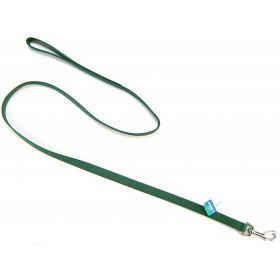 Coastal Pet Nylon Lead - Hunter Green - 4' Long x 5/8" Wide