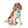 DOOG Neoflex Dog Harness Rin Tin Tin Neon Medium Teal/Pink