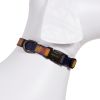 Pendleton Pet National Park Hiker Collar