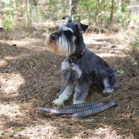 Pendleton Pet Vintage Camp Hiker Collar (Color: Heather Green, size: small)