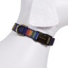 Pendleton Pet National Park Hiker Collar