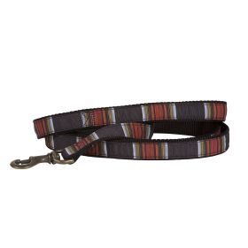 Pendleton Pet National Park Hiker Leash (Color: Acadia)