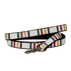 Pendleton Pet National Park Hiker Leash (Color: Glacier)