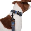 Pendleton Pet National Park Adventure Collar