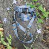 Pendleton Pet National Park Adventure Collar