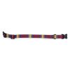 Pendleton Pet National Park Adventure Collar