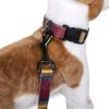 Pendleton Pet National Park Adventure Collar