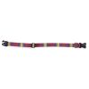 Pendleton Pet National Park Adventure Collar