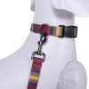 Pendleton Pet National Park Adventure Collar