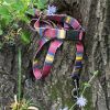 Pendleton Pet National Park Adventure Collar