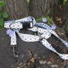 Pendleton Pet Classics Adventure Leash