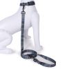 Pendleton Pet National Park Adventure Leash