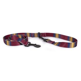 Pendleton Pet National Park Adventure Leash (Color: Zion, size: 3/4")