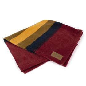 Pendleton National Park Throw (Color: Zion)